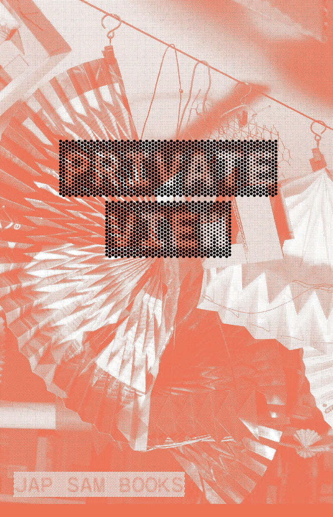 Private View - Cees de Rooij
