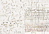 Among Houses and the Cosmos. Koštana Banović